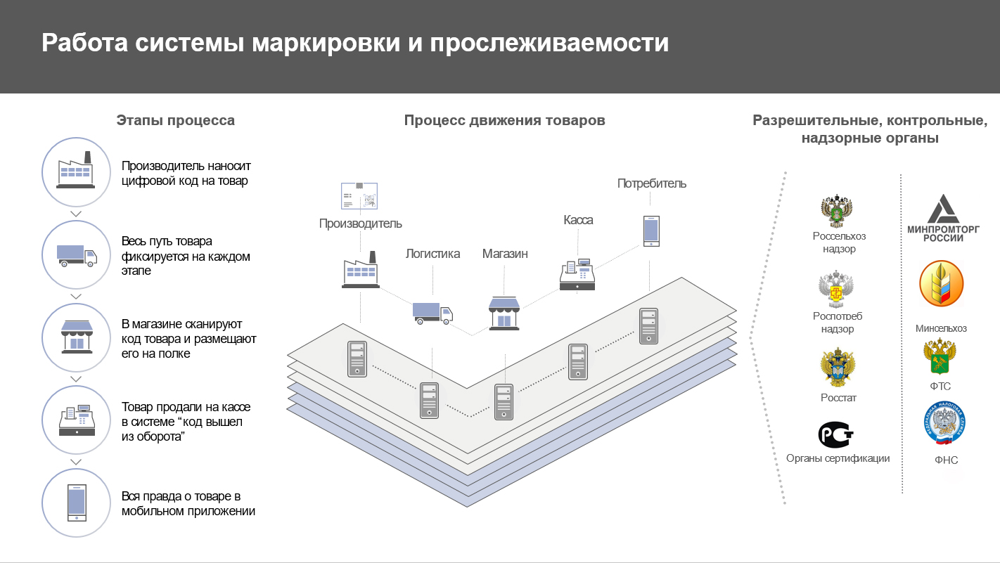 Процедура прослеживаемости пищевой продукции образец